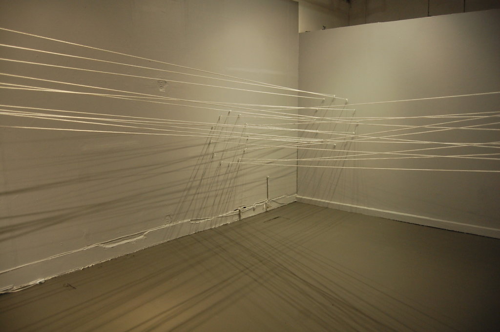 Collaboration with Angela Burkes, Site Specific installation at Twist Gallery, 2013