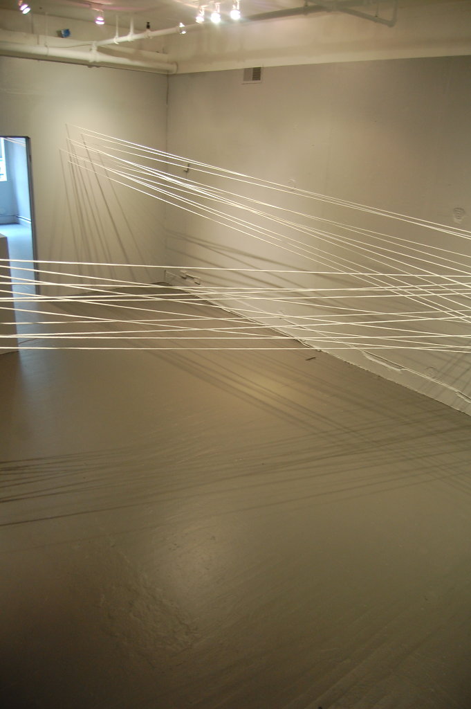 Collaboration with Angela Burkes, Site Specific installation at Twist Gallery, 2013